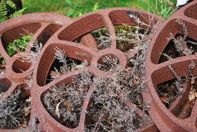 Close-up of the old, rusty metal wheels, near the green grass