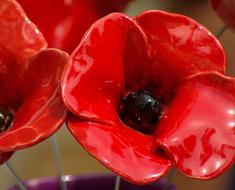 Poppies as a Ceramic Crafts