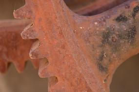 Rustic Gears Metal