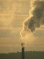 View of of the chimney of an industrial plant with smoke, and tree behind