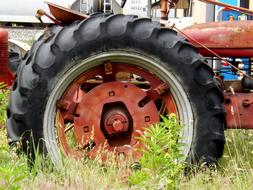 Close-up of the rusty wheel of the tractor, on the green grass