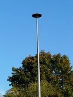 Siren Fire Alarm and tree