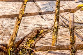 background of wooden me inserts and grass