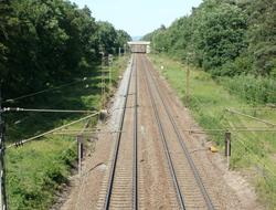 Beautiful landscape of the railway, among the green grass and green trees