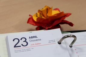 Paper Flower Calendar Day