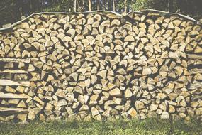 Stacks of firewood, on the green grass, near the plants