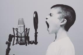 Microphone Boy