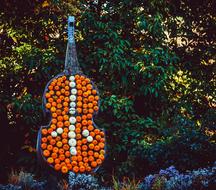 pumpkins in Bass shape garden decoration