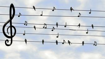 Beautiful music notes, with the birds, at blue sky with clouds on background, clipart