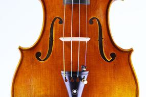 photo of cello strings