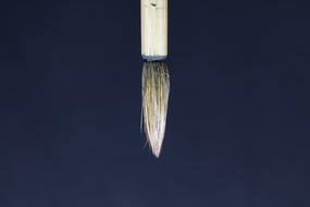 Brush Calligraphy white