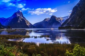 Mitre Peak on shore of Milford Sound, gorgeous Landscape, new zealand