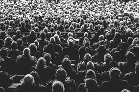 Audience Crowd Persons