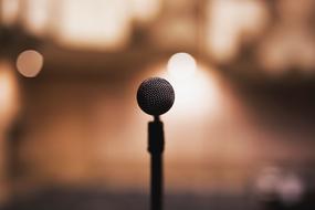 Concert Mic
