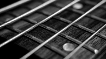 String Bass