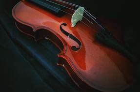 photo of retro violin in the dark