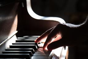 Piano Hand shadow