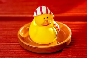 Toys Duck