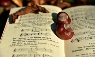 autumn gifts on an open book in a blurred background