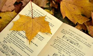 Book and Autumn Leaf