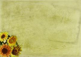 yellow Flowers at music sheet, vintage Background