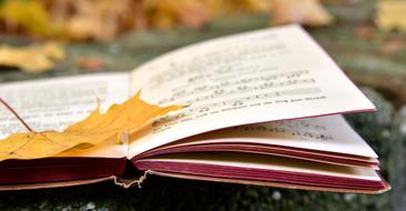 autumn yellow leaf on music book