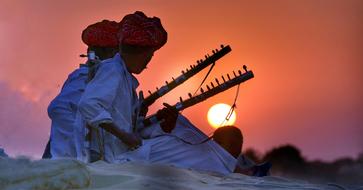 Rajasthan Camel