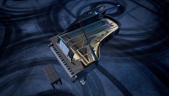 Piano Wing and Keys