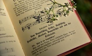 Book Song