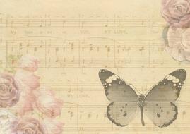 butterfly music vintage notes drawing