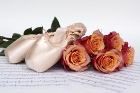 Ballet Shoes Dance and Roses