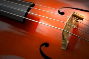 macro photo of cello strings