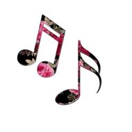 music notes with pattern