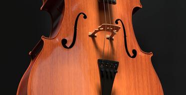 Stringed Instrument