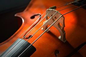 close-up photo of the classical violin strings