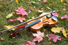 Autumn Violin Musical