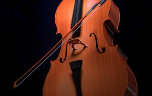 bow on Strings of Cello close up