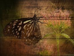 painted butterfly and flower on a wooden wall