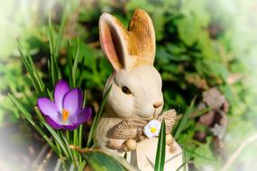 rabbit and crocus on Easter card