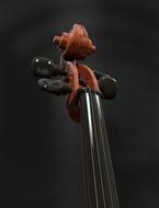 Cello Strings details