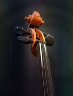 head of Cello, wooden Strings instrument
