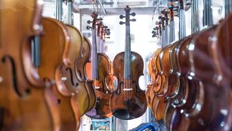 Instrument Violin Stringed shop