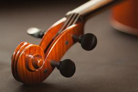 photo of a wooden snail violin