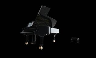 Piano Wing dark