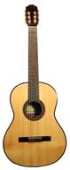 Guitar Luthier