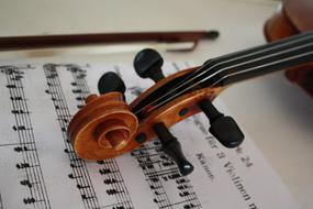 Violin Stringed Musical Instrument