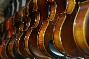 assortment of violins in a music store