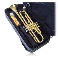 gold Trumpet Instrument