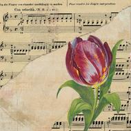 old music page and painted tulip