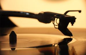 Stylus Needle